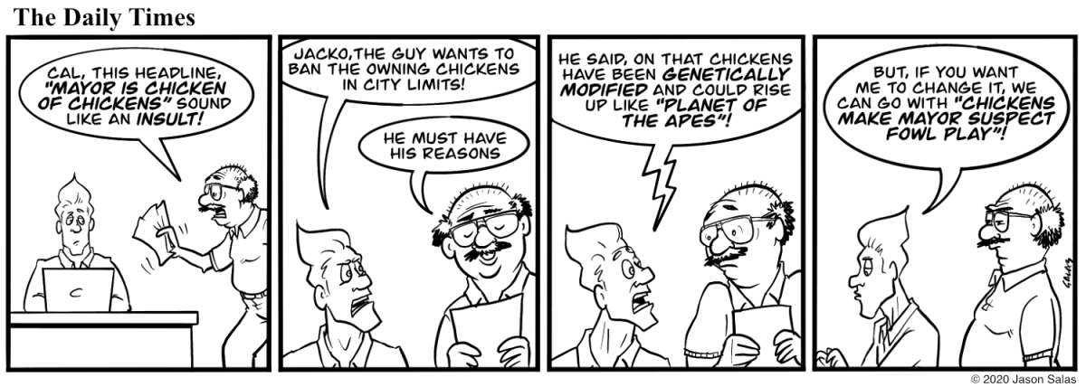 The Daily Times:&nbsp;Chicken