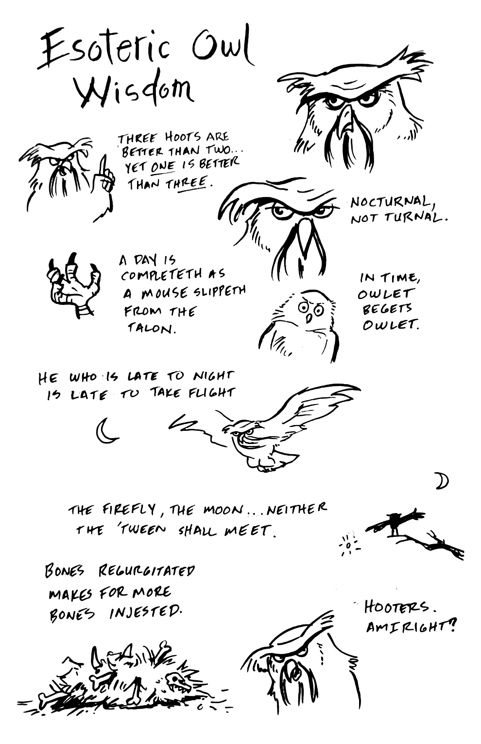 Oddballs: Esoteric Owl&nbsp;Wisdom