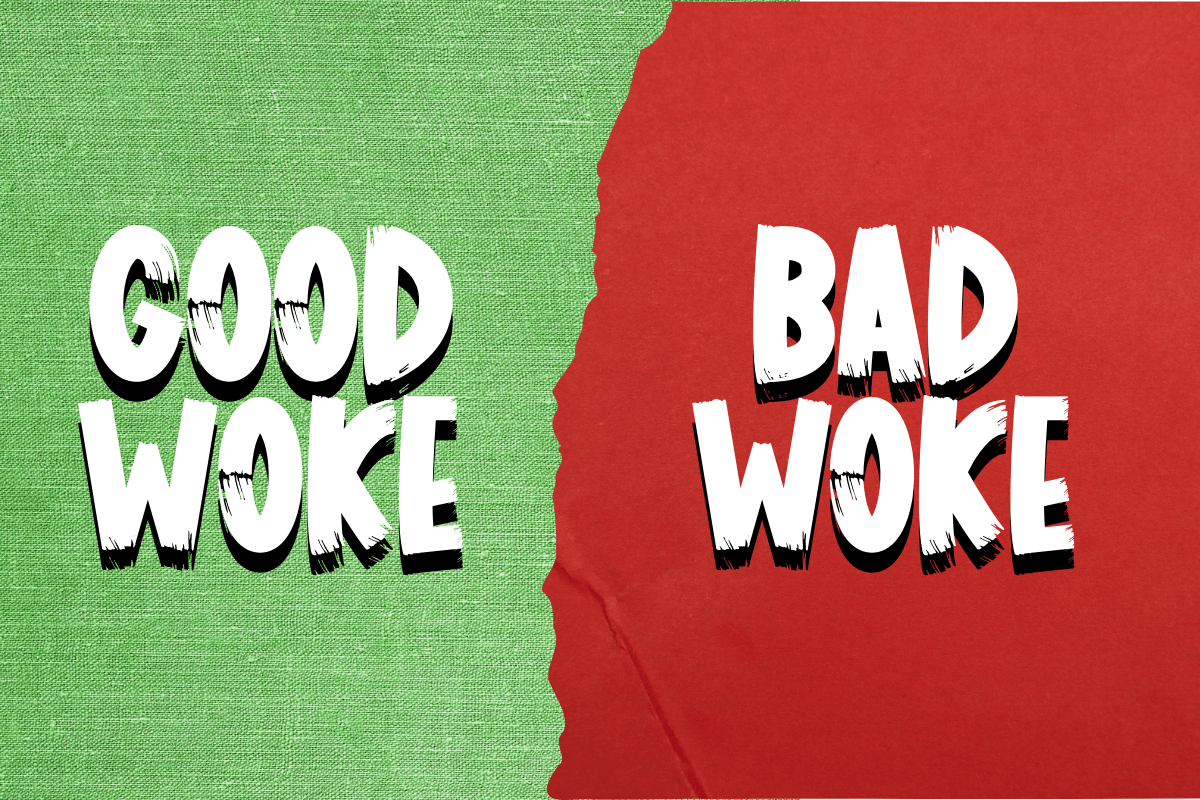Good Woke, Bad Woke…&nbsp;IMO